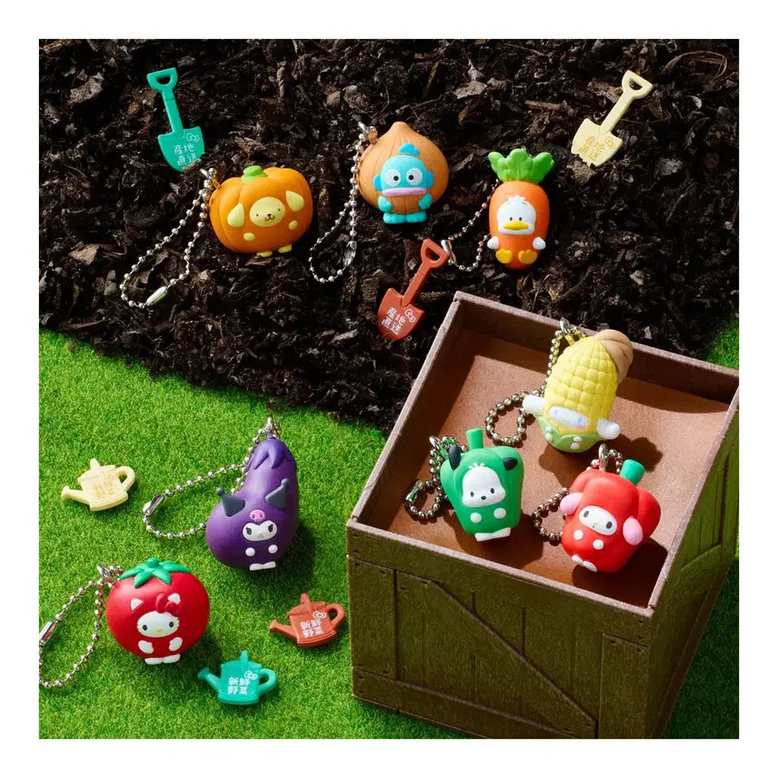 [BUNJANG] Sanrio Characters Vegetable Biscuit Keychain (My Melody) / 산리오 캐릭터 베지터블 비스킷 키링 (마멜)