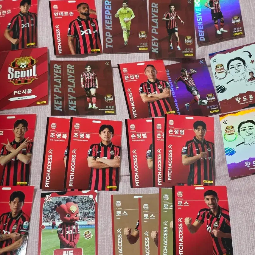 [BUNJANG] FC Seoul K League Player Autograph Cards Bundle Set / FC 서울 파니니 정승원 조영욱 송민규 김진수 최준 손정범 k리그