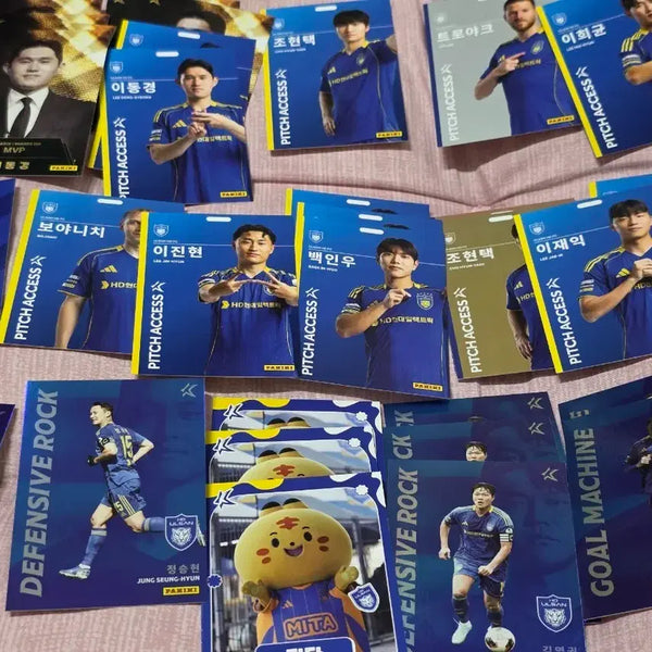 [BUNJANG] Ulsan HD Hyundai Football Club Panini Bundle Set / 울산 HD 울산 현대 파니니 일괄판매 이동경 김영권 이규성 백인우 조현택