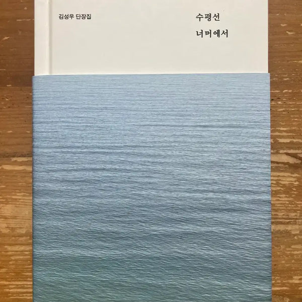 [BUNJANG] Beyond the Horizon: Kim Sung-woo Captain's Collection / 수평선 너머에서 : 김성우 단장집