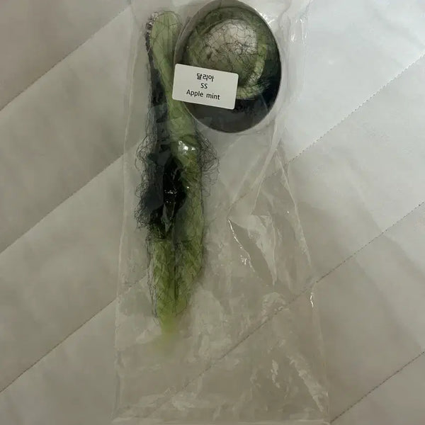 [BUNJANG] Blume Dahlia SS Apple Mint Wig / 블루메 달리아 ss 애플민트