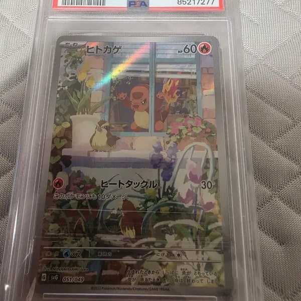 [BUNJANG] Pokemon TCG 2023 Special Deck Window Charmander PSA 10 / 2023 포켓몬스터 스페셜덱 창문 파이리  PSA 10