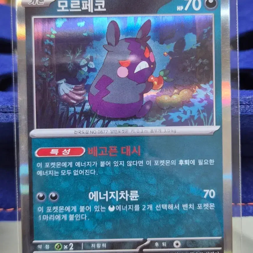 [BUNJANG] Pokemon Card Morpeko SV8a 098/187 / 포켓몬 카드 모르페코 sv8a 098/187