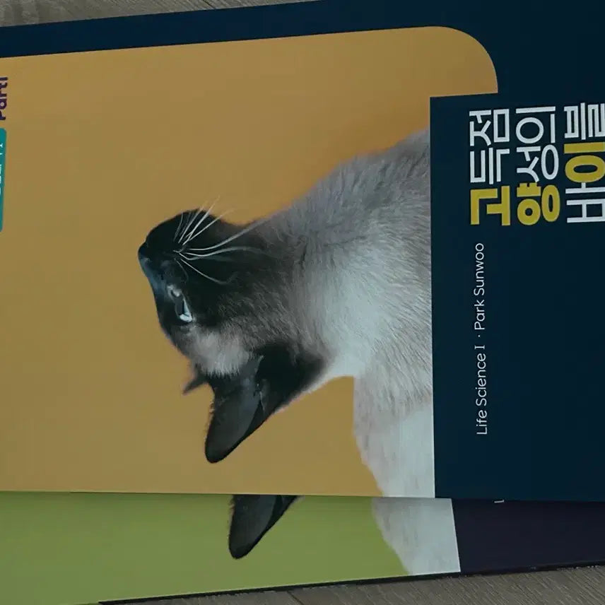 [BUNJANG] Kim Sunoo 2025 'Bible of High Score Training' (Cat Version) Photobook / 대성 김선우 고득점양성의바이블 (고양이) 작년 2025 버전