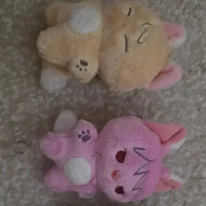 [BUNJANG] Cell-Song Cat Plush (Atto, Kano) / 세포신곡 고양이 세뽀동물 (아토, 카노)