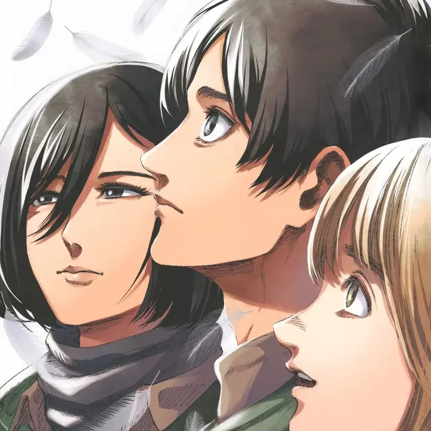 [BUNJANG] Attack on Titan Art Book FLY Box Set with All Bonuses / [특전 전체 첨부] 진격의 거인 화집 FLY 박스 세트