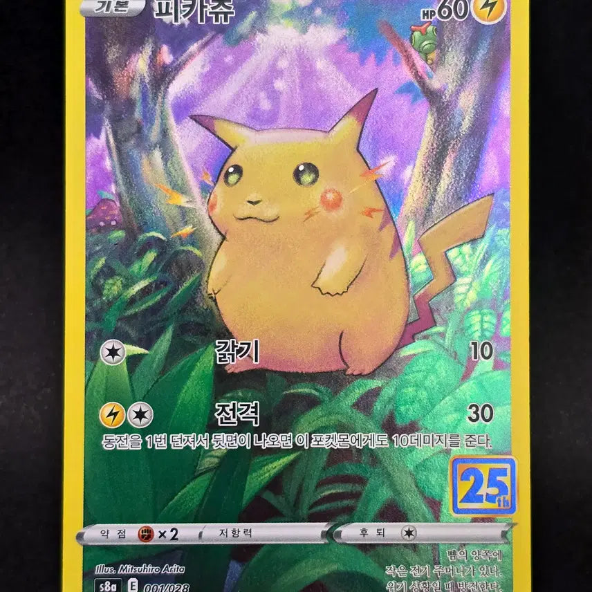 [BUNJANG] Pokemon Pikachu 25th Anniversary Edition / 피카츄 25주년 에디션 뚱카츄