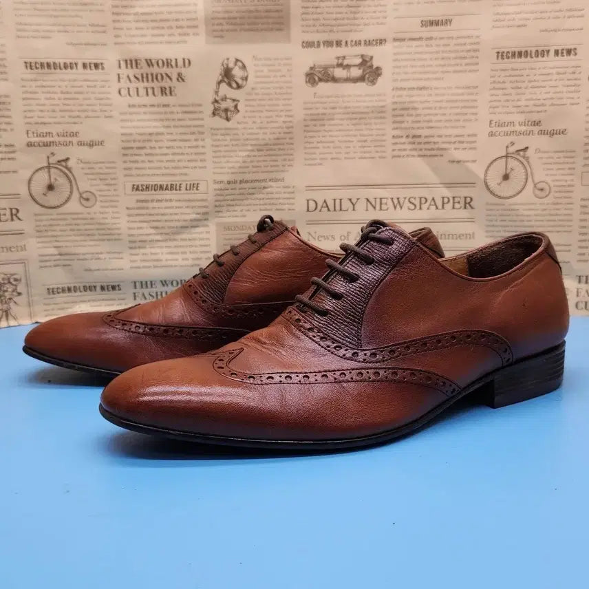 [BUNJANG] Elcanto Brown Wingtip Shoes 255 / 엘칸토 브라운 윙팁구두 255