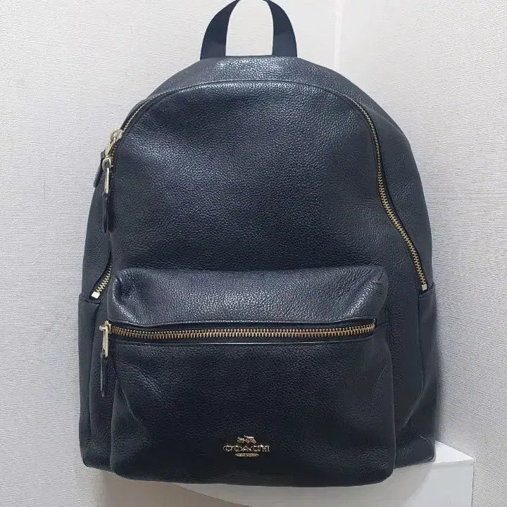 [BUNJANG] Coach Leather Backpack Black / 코치 백팩 블랙