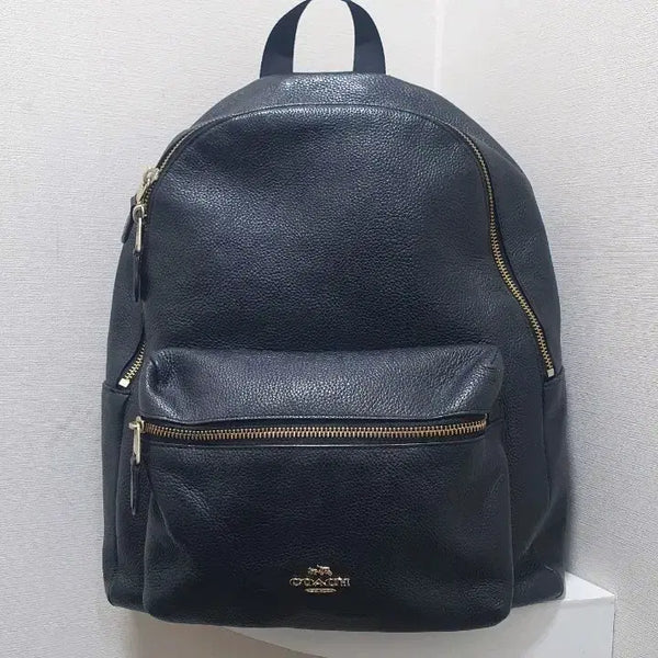 [BUNJANG] Coach Leather Backpack Black / 코치 백팩 블랙