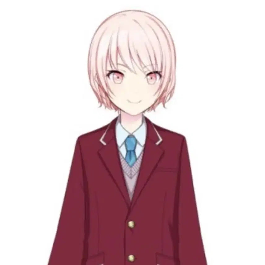 [BUNJANG] Project Sekai Mizuki Cosplay Wig / 프로세카 미즈키 중학생 가발 판매합니다.