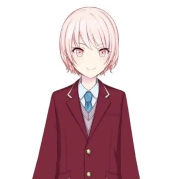 [BUNJANG] Project Sekai Mizuki Cosplay Wig / 프로세카 미즈키 중학생 가발 판매합니다.