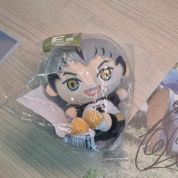 [BUNJANG] Haikyuu Bokuto Koutarou Prize E Plush / [반택포] 하이큐 보쿠토 코타로 쿠지 E상 인형 제일복권
