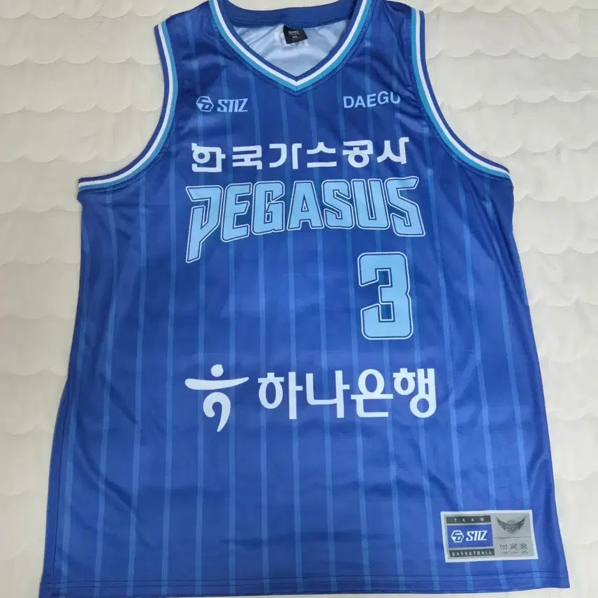 [BUNJANG] Korea Gas Corporation Pegasus Jeong Seong-woo Jersey 3XL / 한국가스공사 페가수스 정성우 유니폼 3XL (115)