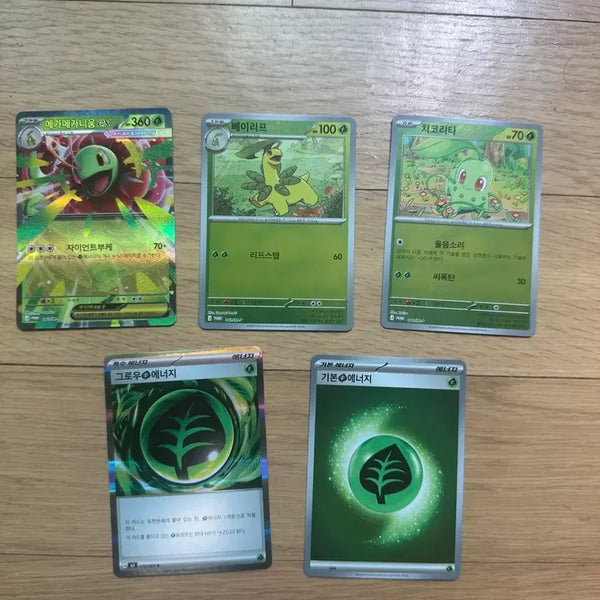[BUNJANG] Pokemon Card Chikorita Bayleef Meganium ex Set / 포켓몬 카드 치코리타 베이리프 메가메가니움ex 세트