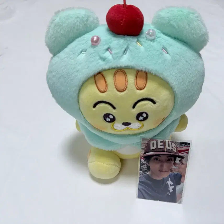 [BUNJANG] NCT DREAM Line Friends Sweet Dreamies Sitting Doll Mark / 엔시티드림 라인프렌즈 스윗드리미즈 치팅 인형 마크 애옹