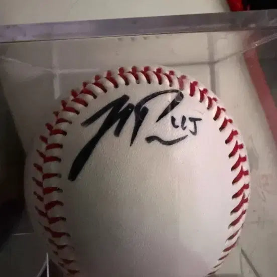 [BUNJANG] Kia Tigers Autographed Baseball Bundle Set / 기아타이거즈 싸인볼 일괄판매