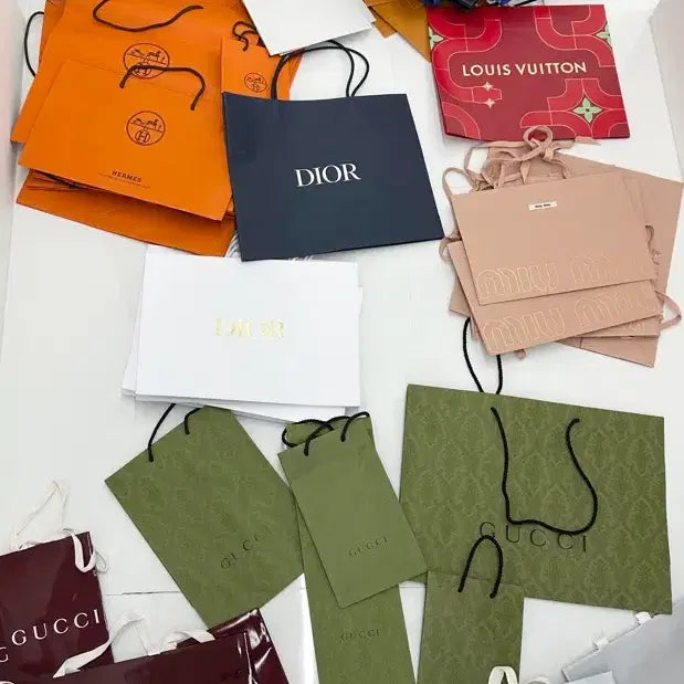 [BUNJANG] Assorted Luxury Brand Shopping Bags / 샤넬 디올 루이비통 구찌 에르메스 미우미우 로에베 쇼핑백 명품 종이가방
