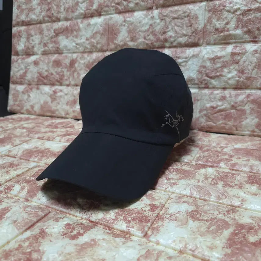 [BUNJANG] Arc'teryx Cap / 아크테릭스 모자 볼캡