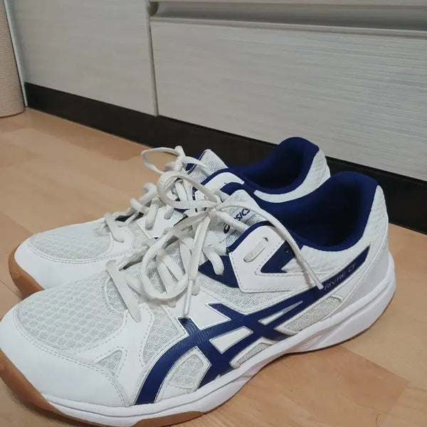 [BUNJANG] Asics Libre CF Volleyball & PE Entrance Shoes Size 275 / 275사이즈 아식스 리브레cf