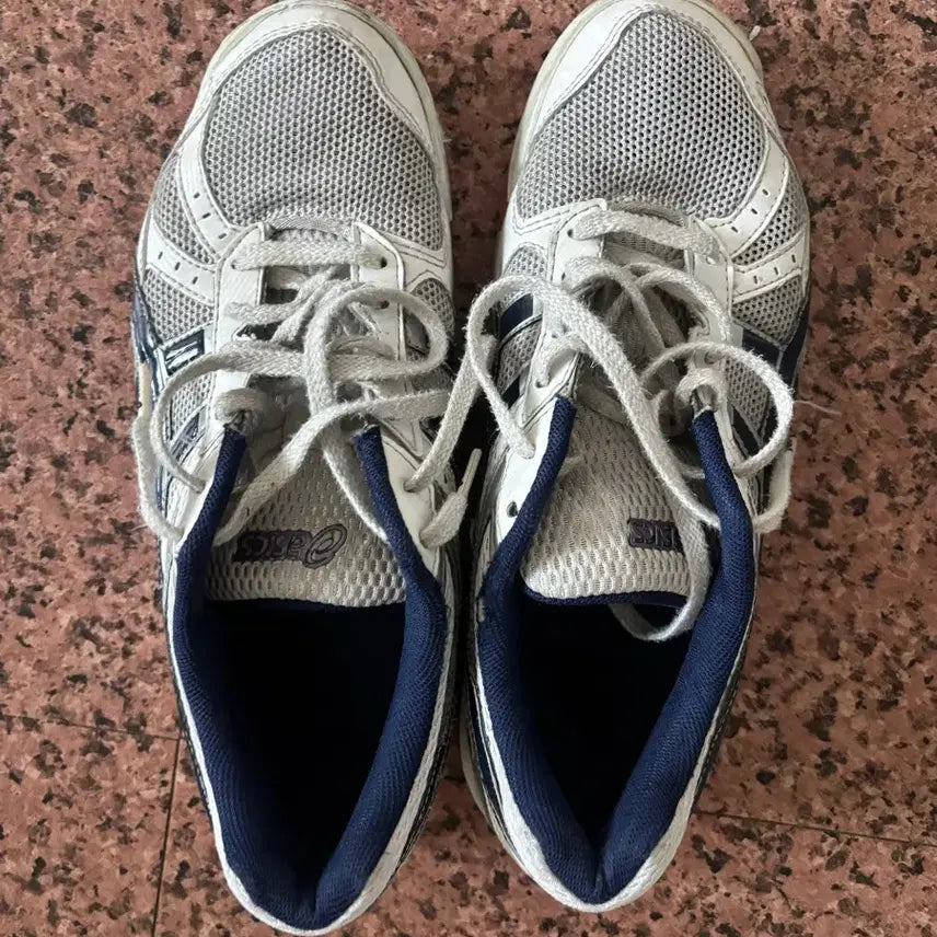 [BUNJANG] Asics Sky Elite FF MT 2 Volleyball Shoes / 아식스배구화 로테리브레