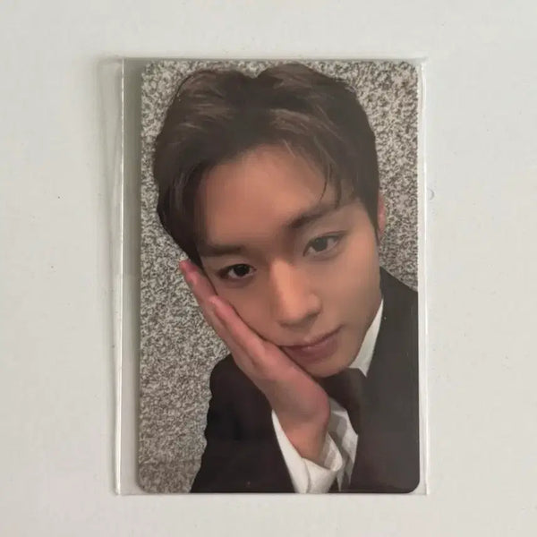 [BUNJANG] Park Ji Hoon Fan Concert Exclusive Photocard / 박지훈 팬콘 입장포카 양도