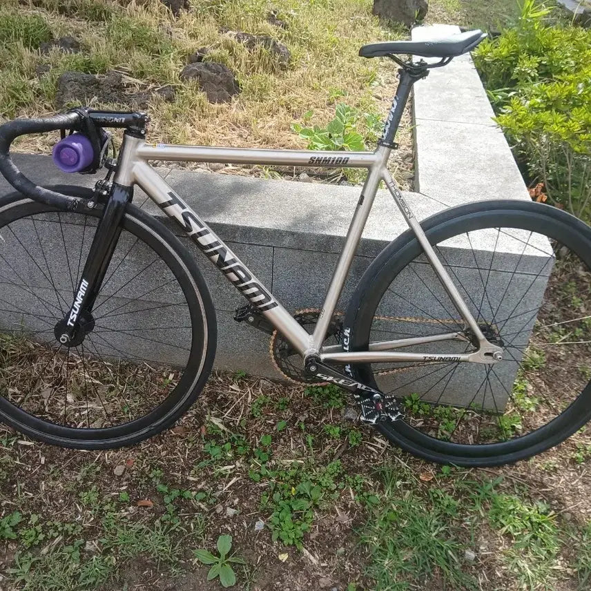 [BUNJANG] Tsunami Bicycle Frame / 쓰나미