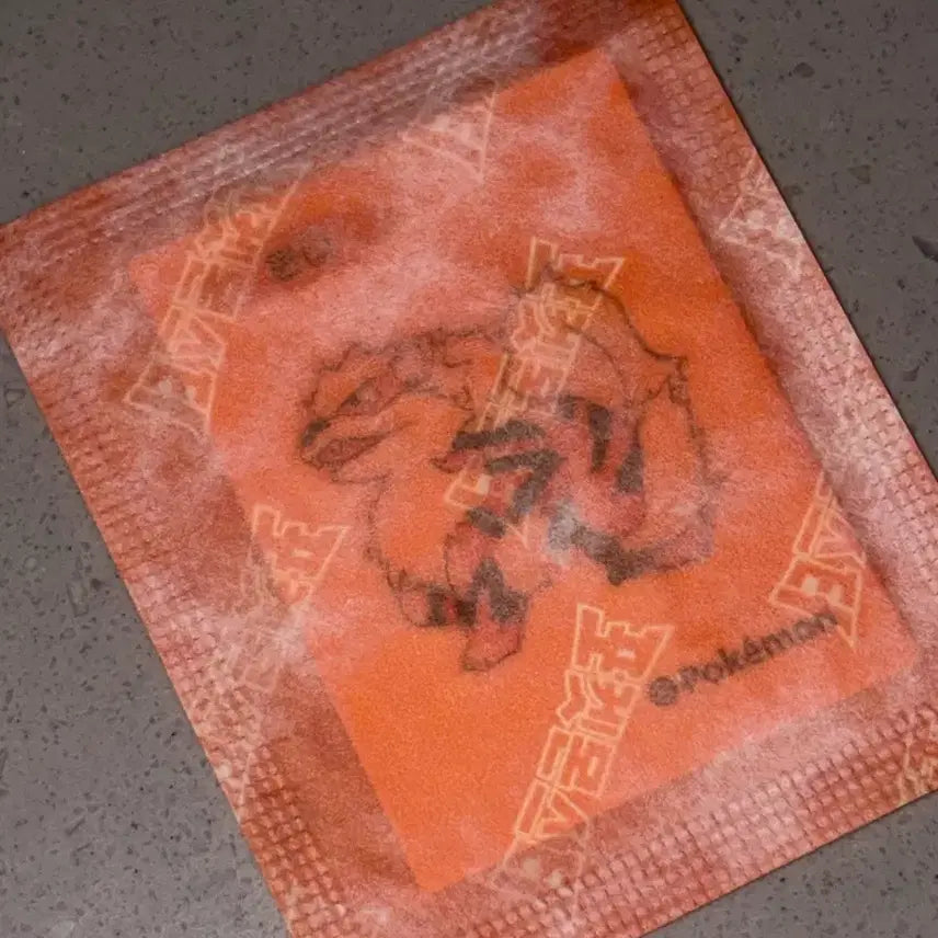 [BUNJANG] Pokemon Arcanine Stickered Seal / 포켓몬 윈디 띠부씰 띠부실 스티커