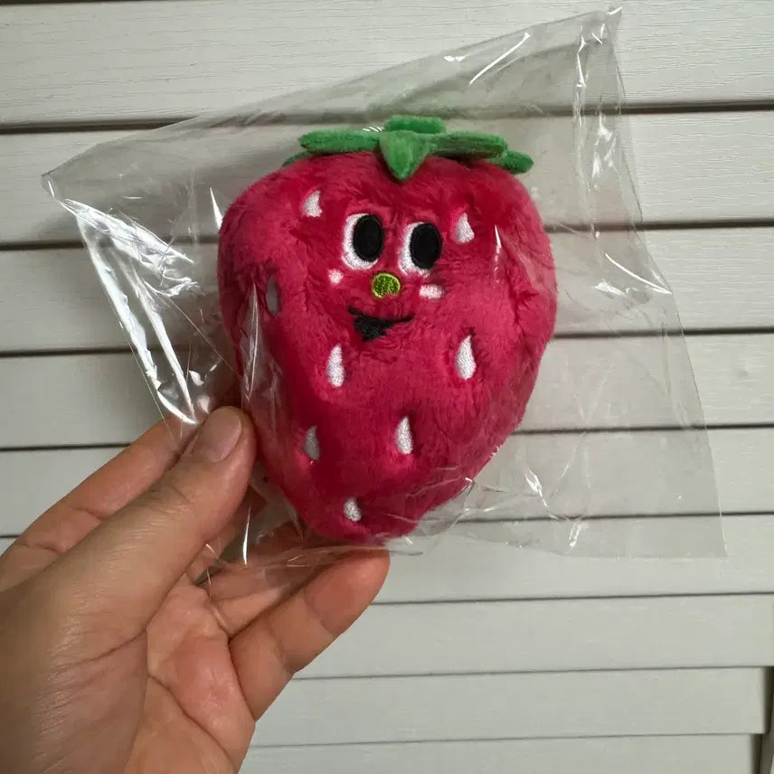 [BUNJANG] Grandy Strawberry Mini Pouch with Keyring / 그라디 스트로베리 딸기 키링 미니 파우치 무료배송 네고가능