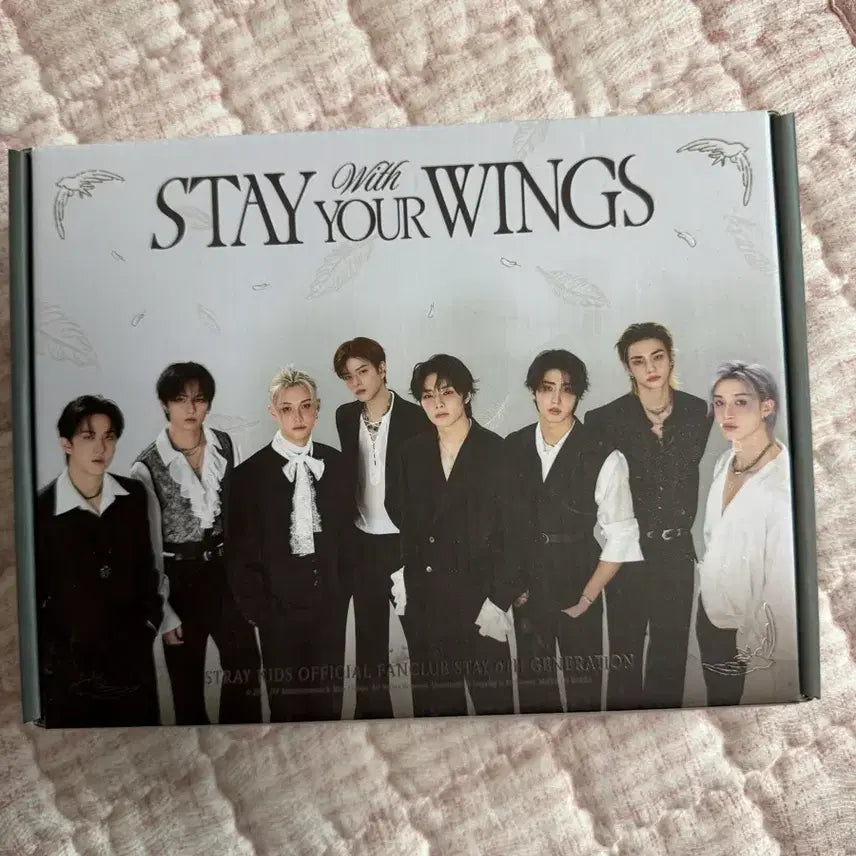 [BUNJANG] Stray Kids Official 6th Generation Kit / 스크트레이키즈 공식 6기 키트 판매해요!