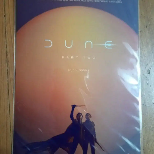 [BUNJANG] Dune 2 Timothée Chalamet Art Card / 듄2 아트카드 티모시살라메