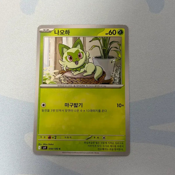 [BUNJANG] Pokemon Card Naoah C / 포켓몬카드 나오하 c