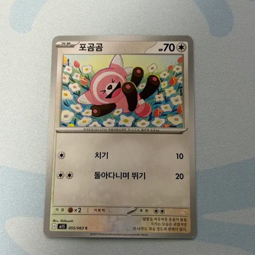 [BUNJANG] Pokemon Teddiursa Card / 포켓몬카드 포곰곰 c