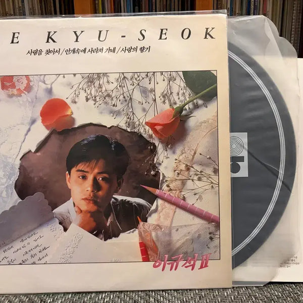 [BUNJANG] Lee Gyu Seok 2nd Album - Fading Into The Mist LP / (LP) 이규석 2집 - 안개속에 사라져 가네