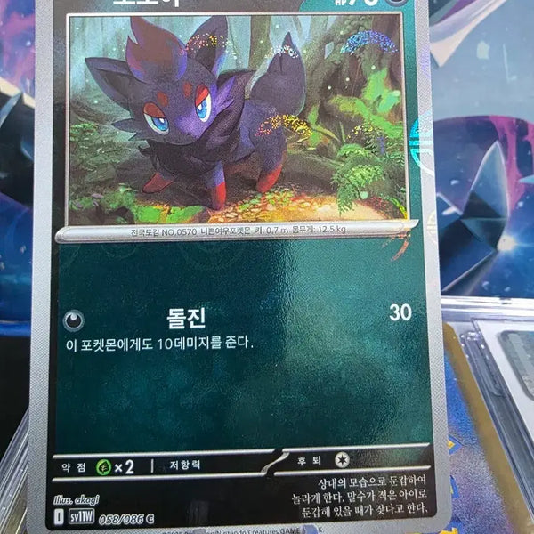 [BUNJANG] Pokemon Card Zorua 058/086 / 포켓몬카드 몬볼 조로아 058/086