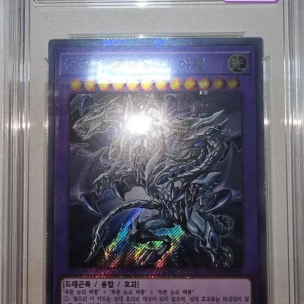 [BUNJANG] Yu-Gi-Oh! Blue-Eyes Alternative Ultimate Dragon LE1-KR000 Secret Rare / 유희왕 궁극의 푸른 눈의 아룡 엑시크. Brg9