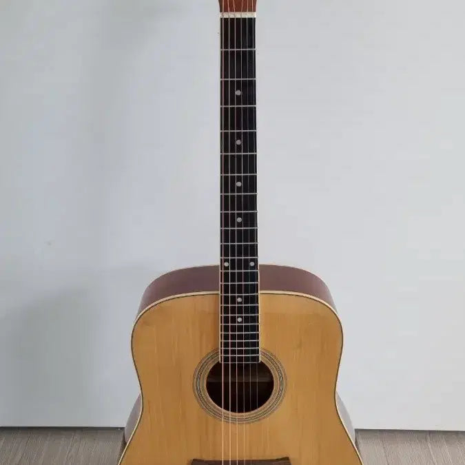 [BUNJANG] Beginner Acoustic Guitar Set with Soft Case and Picks / 입문용 어쿠스틱통기타+소프트케이스+피크