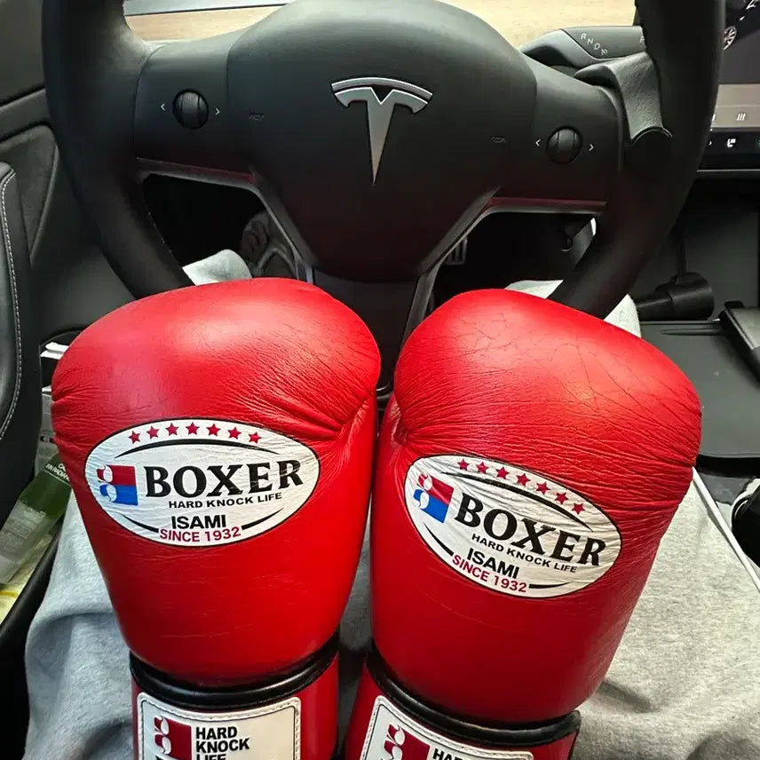 [BUNJANG] Isami Boxing Gloves Set (10oz Red, 16oz Black) / 이사미 글러브 세트 레드10oz 블랙16 oz