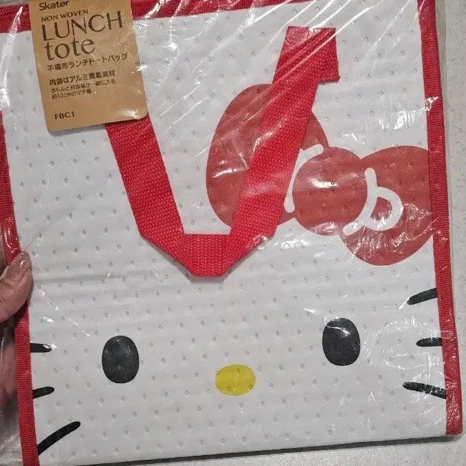 [BUNJANG] Hello Kitty Insulated Zipper Lunch Bag / 일본 헬로키티 보냉 지퍼 런치백
