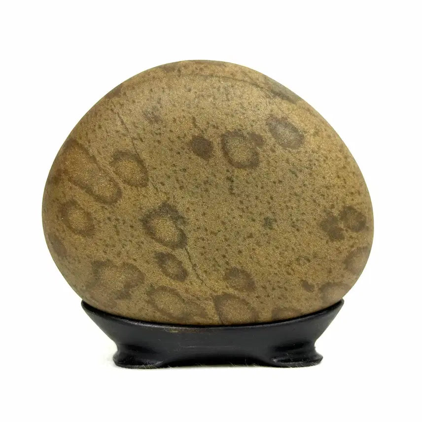 [BUNJANG] HuDo Pattern Stone, Water Drop Leopard Pattern SuSeok / 호도 문양석 수석
