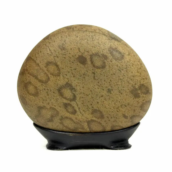 [BUNJANG] HuDo Pattern Stone, Water Drop Leopard Pattern SuSeok / 호도 문양석 수석