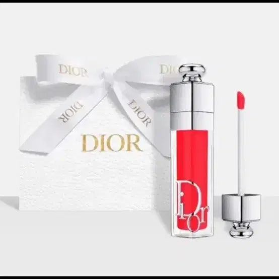 [BUNJANG] Dior Addict Lip Maximizer 009 Intense Rosewood / 디올 어딕트 립 맥시마이저 009 인텐스 로즈우드