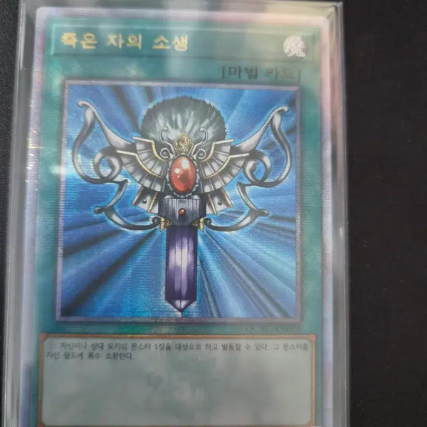 [BUNJANG] Yu-Gi-Oh! Card of the Dead (QC) / 유희왕 죽은자의 소생 (qc)