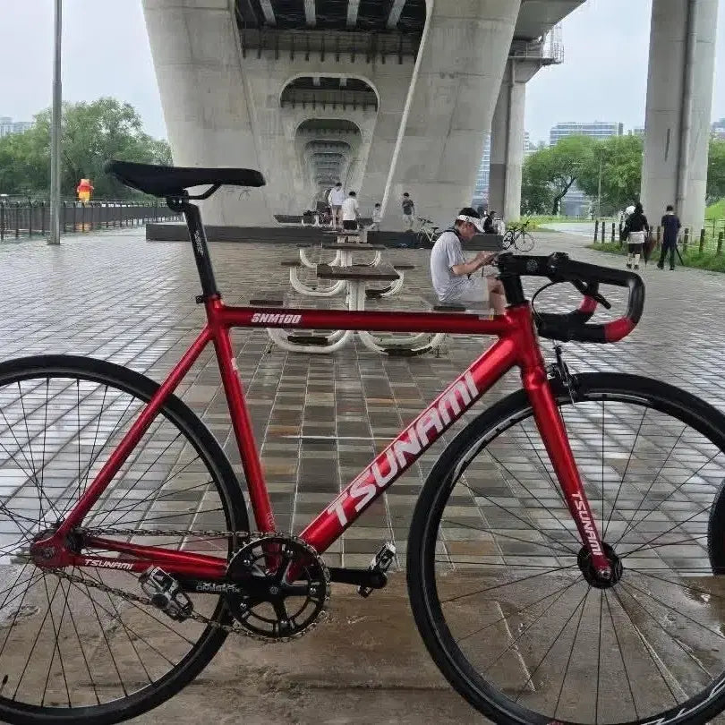 [BUNJANG] Tsunami SNM100 Track Bike Frame Set Red Wine / 쓰나미 snm100 레드와인 개급처