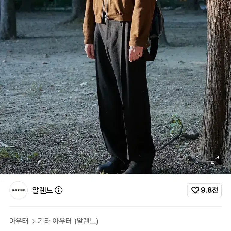 [BUNJANG] Allege 3D Jacket Ver. 2 Blouson / 알렌느 3D 자켓 ver2 블루종