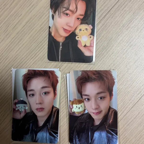 [BUNJANG] Park Jihoon Sosimi, Moongi, Ppumi Photocard Bundle Set / 박지훈 소심이, 모옹이, 뿌움이 포토카드 3종 일괄판매