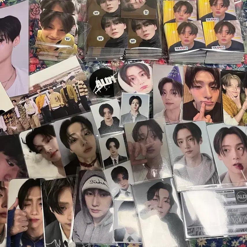 [BUNJANG] Alpha Drive 1 Lee Sang Won Photocard, Photo, Postcard, Sticker Bundle Set / 알파드라이브원 이상원 비공굿,공굿,포카,증사 일괄 양도