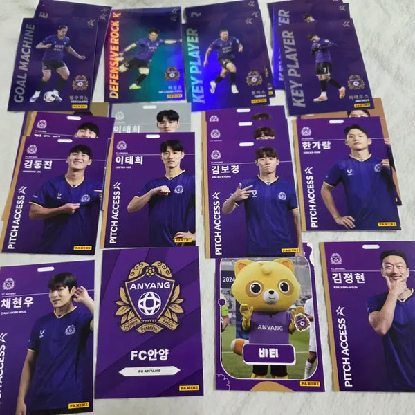 [BUNJANG] FC Anyang Panini Card Bundle Set / fc 안양 파니니 카드 일괄