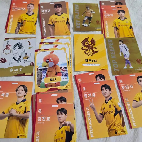 [BUNJANG] Gwangju FC Player Panini Cards Bundle Set (30 Cards) / 광주FC 선수 파니니 카드 30장 일괄