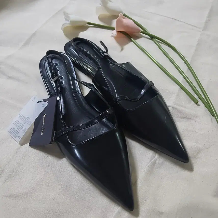 [BUNJANG] Massimo Dutti Black Pointed Toe Slingback Kitten Heel Mules - Size 40 / 새상품 마시모두띠 블랙 포인티드 토 슬링백 샌들 뮬 키튼 40사이즈